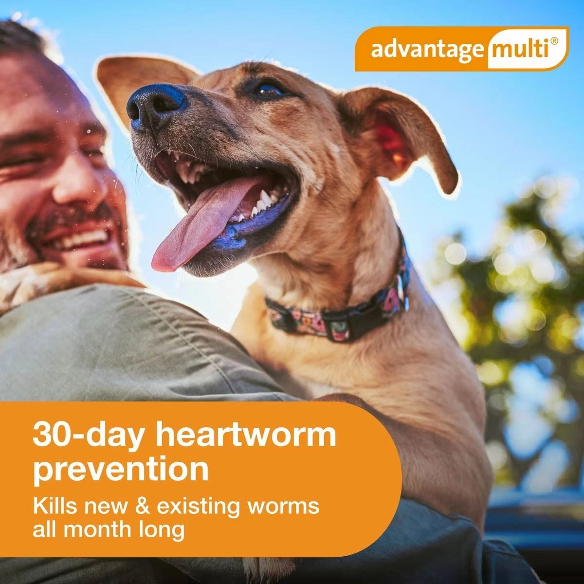Advantage Multi for Dogs (imidacloprid   moxidectin) Topical Solution