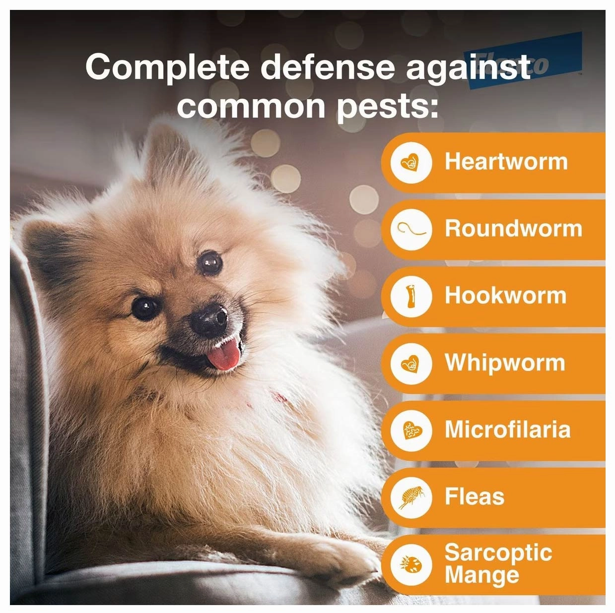Advantage Multi for Dogs (imidacloprid   moxidectin) Topical Solution