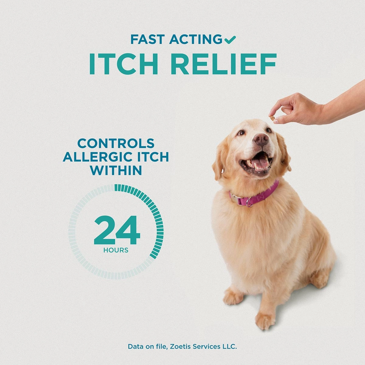 Apoquel (oclacitinib) Chewable Tablet for Dogs