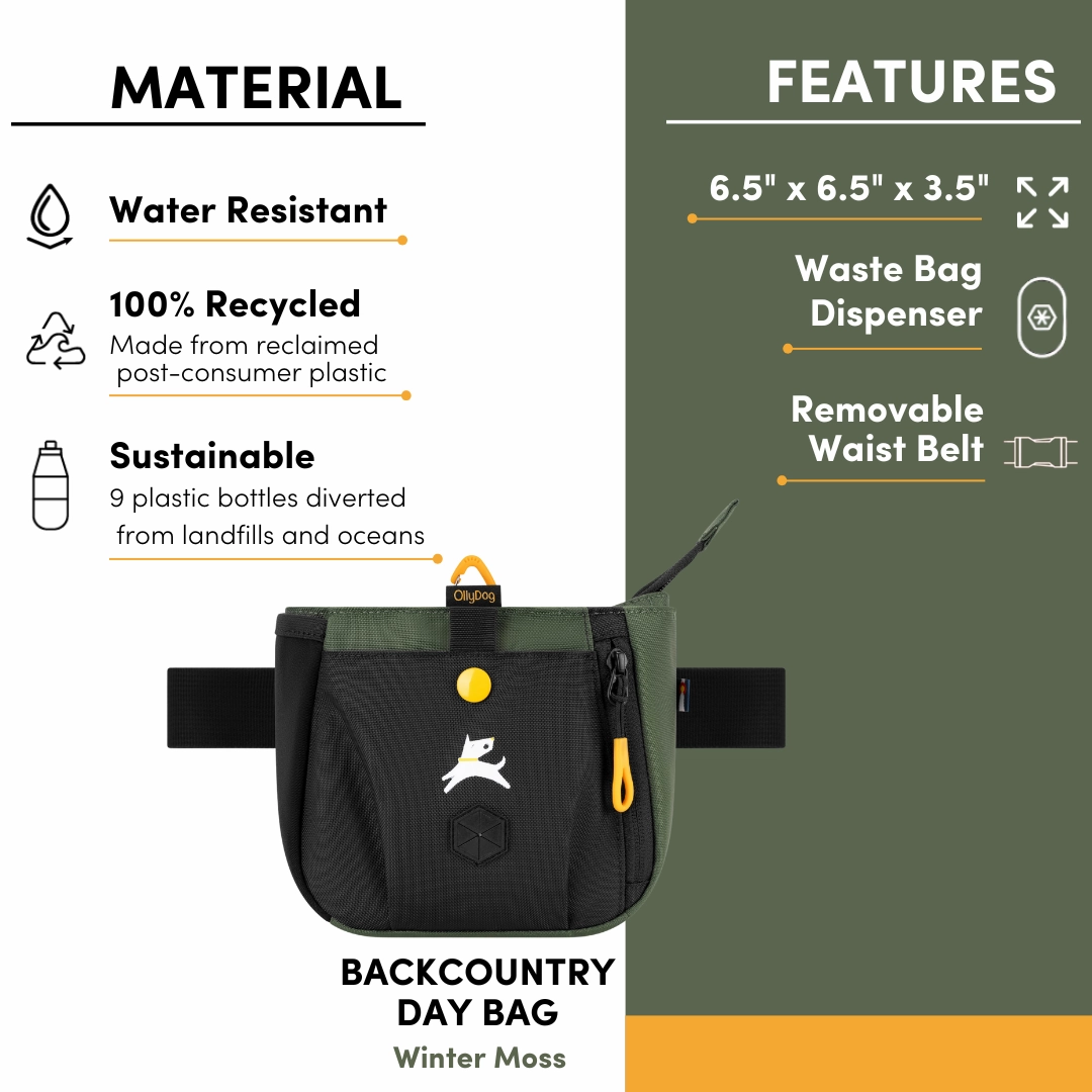 Backcountry Day Bag | Accessory Hip Pack