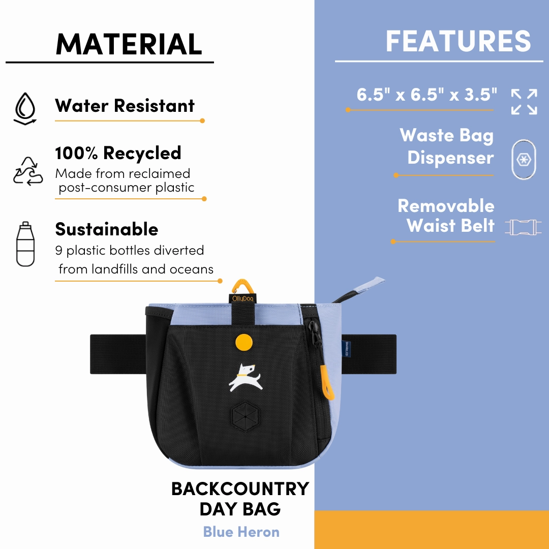 Backcountry Day Bag | Accessory Hip Pack