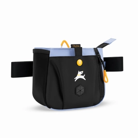 Backcountry Day Bag | Accessory Hip Pack