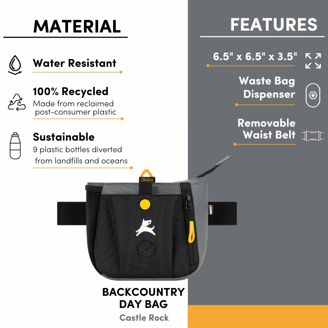 Backcountry Day Bag | Accessory Hip Pack