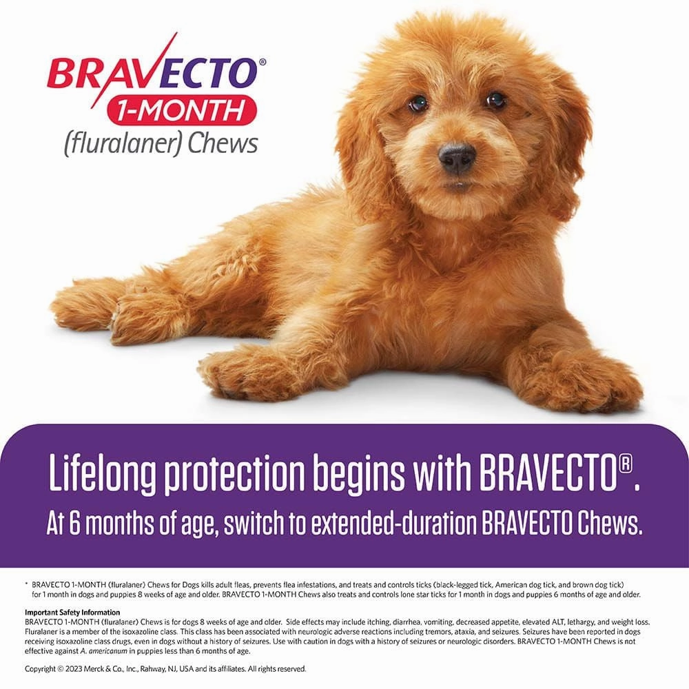 Bravecto (fluralaner) Chews for Dogs, 1 Month Treatment