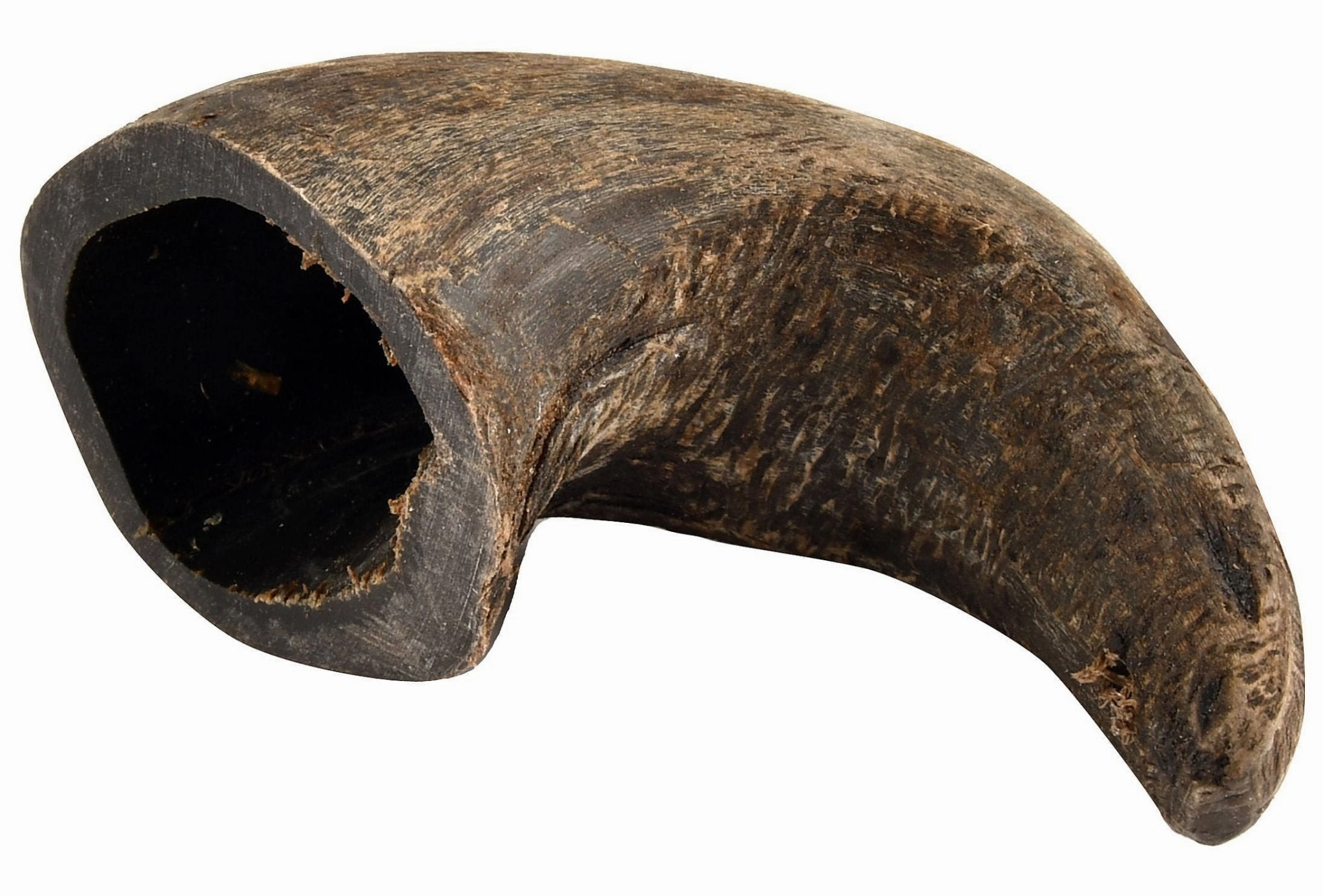 Buffalo Hornz