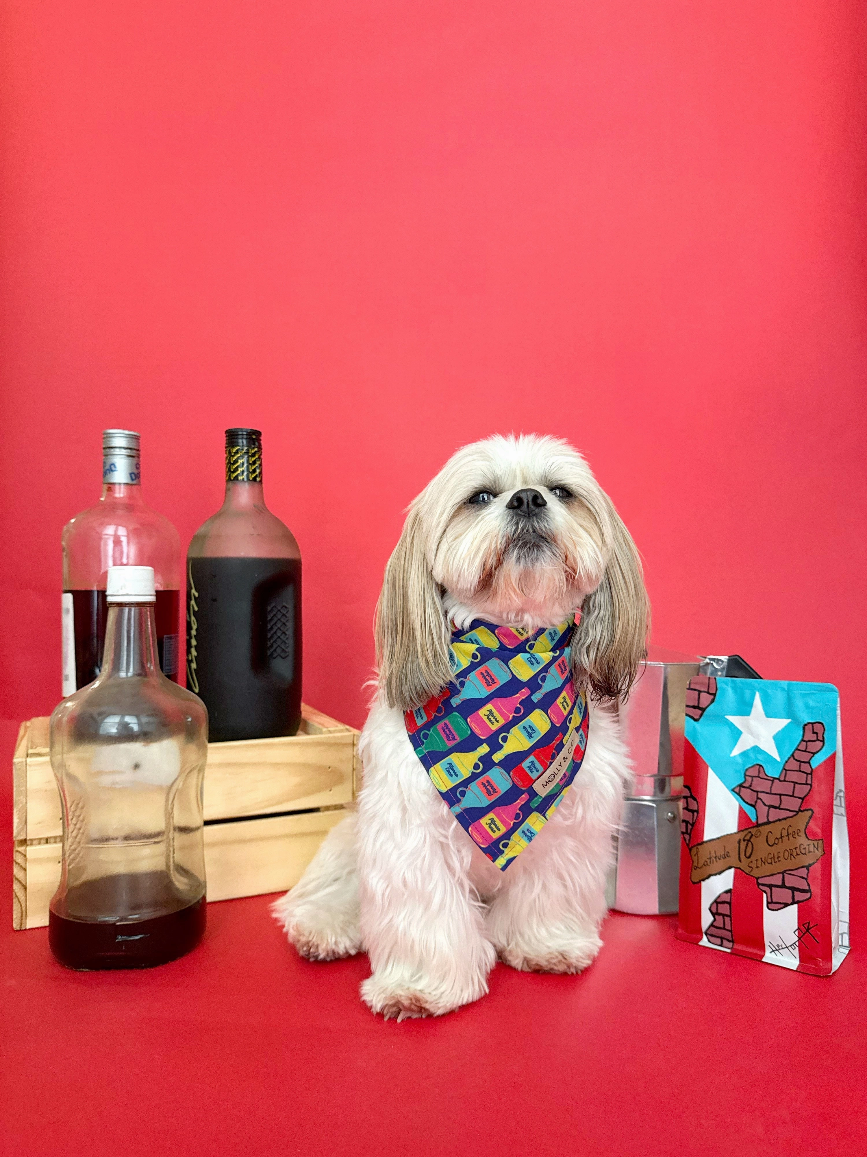 Caf?? con Pitorro - Reversible Dog Bandana