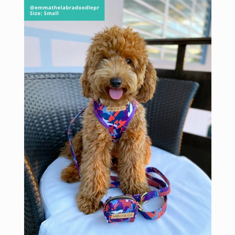 CamoDogz- Adjustable Dog Harness - FINAL SALE