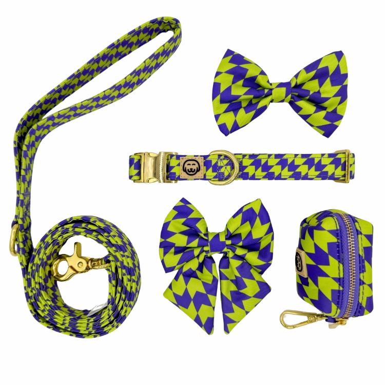 Deluxe Bundle - Fetch Master