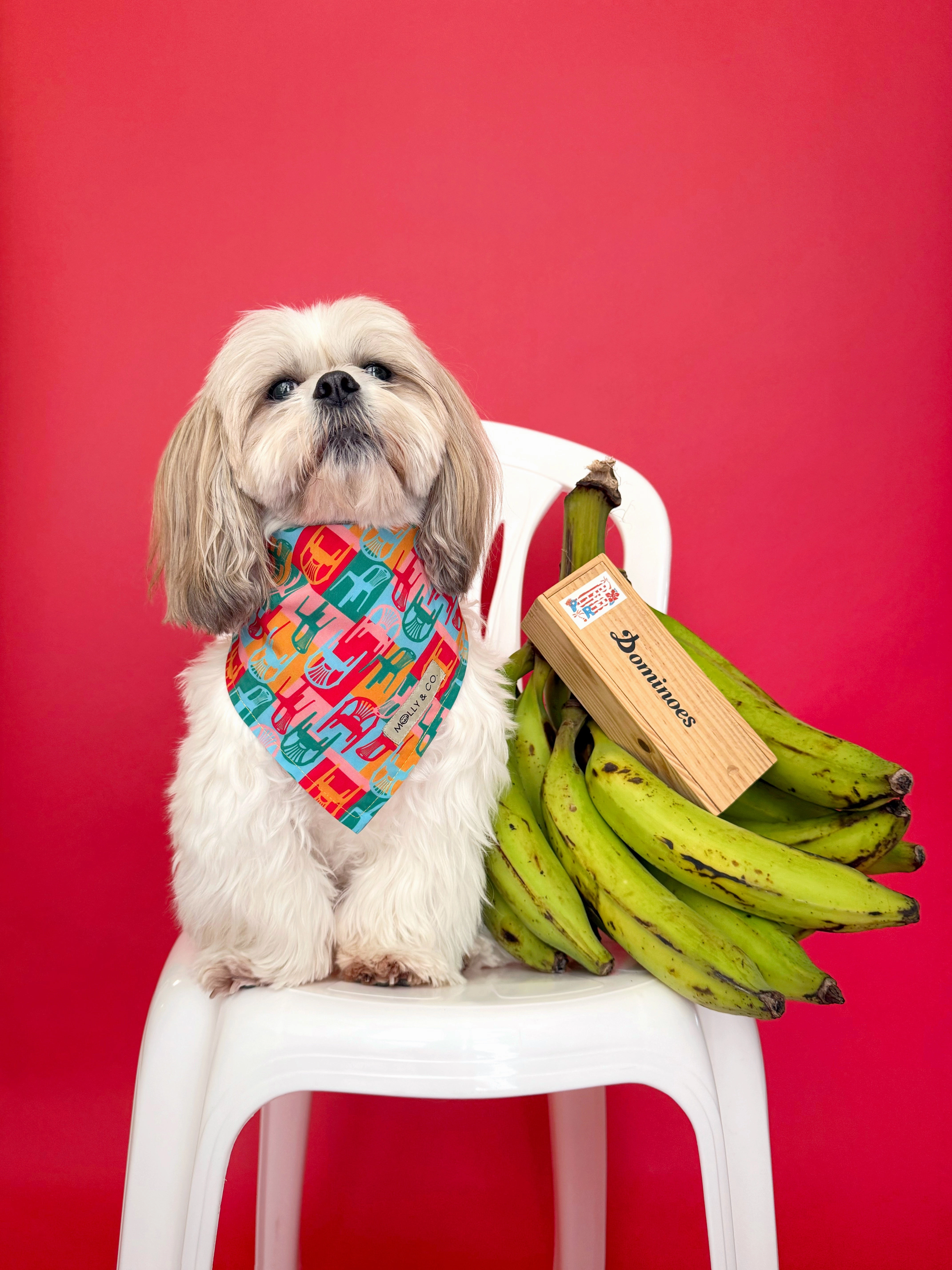 Doble Seis - Reversible Dog Bandana
