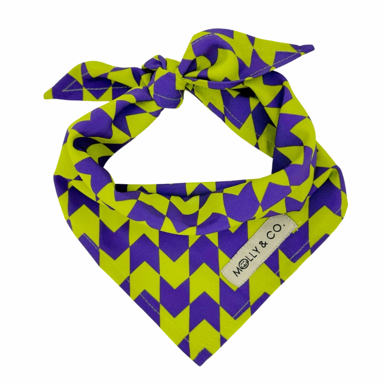 Fetch Master - Dog Bandana