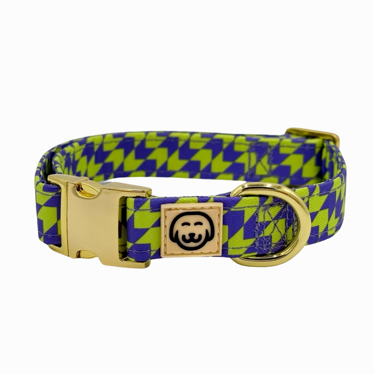 Fetch Master - Dog Collar