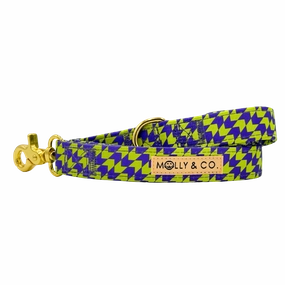 Fetch Master - Dog Leash
