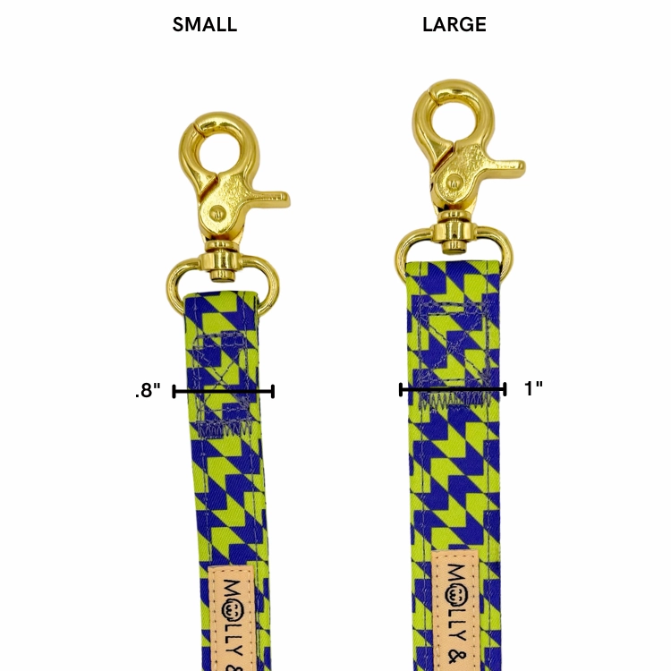 Fetch Master - Walking Bundle