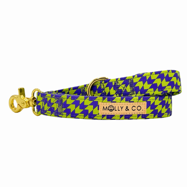 Fetch Master - Walking Bundle