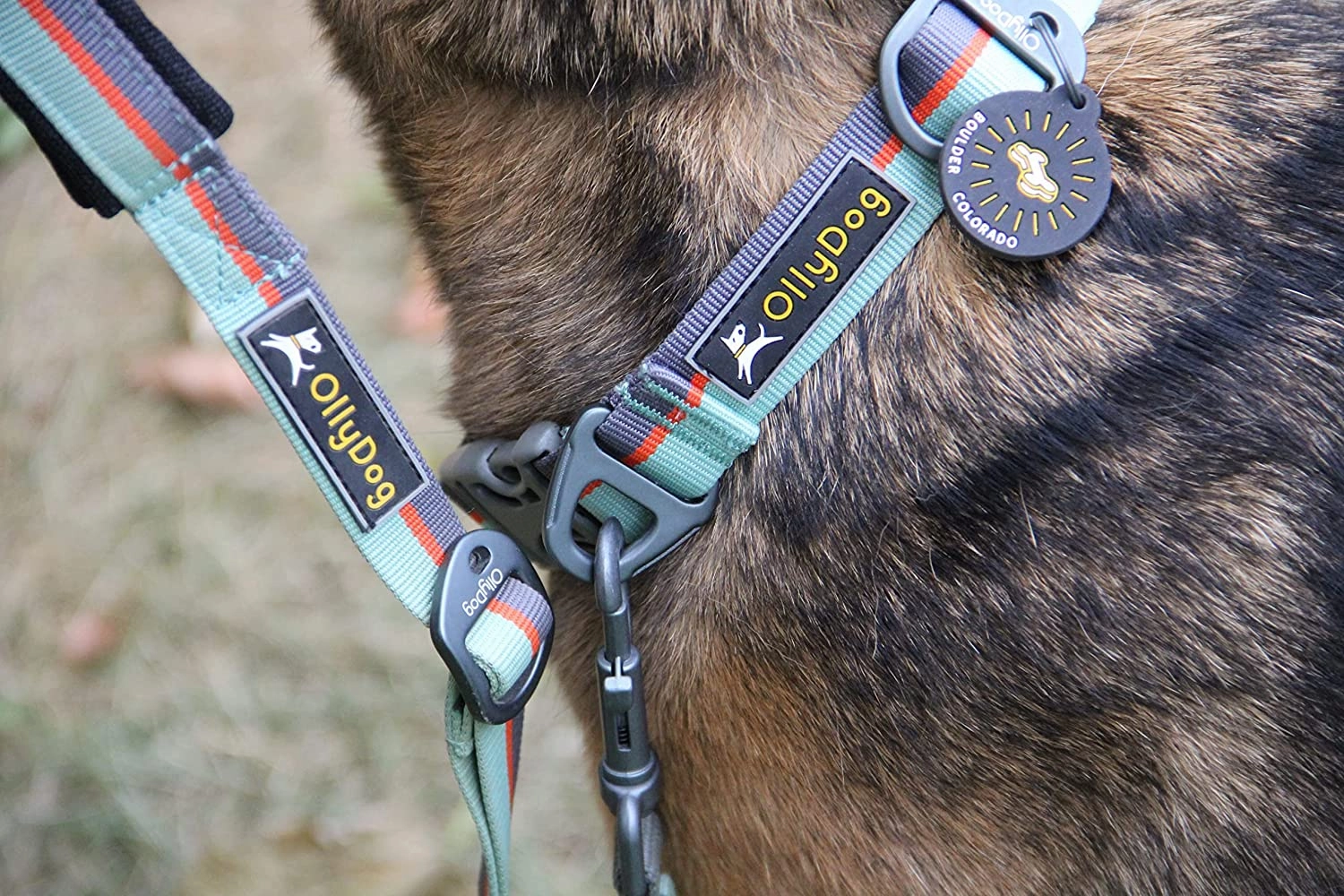 Flagstaff Collar | Adjustable Dog Collar