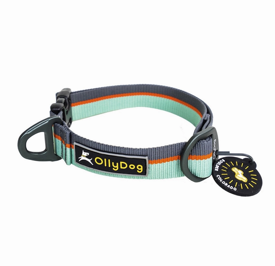 Flagstaff Collar | Adjustable Dog Collar