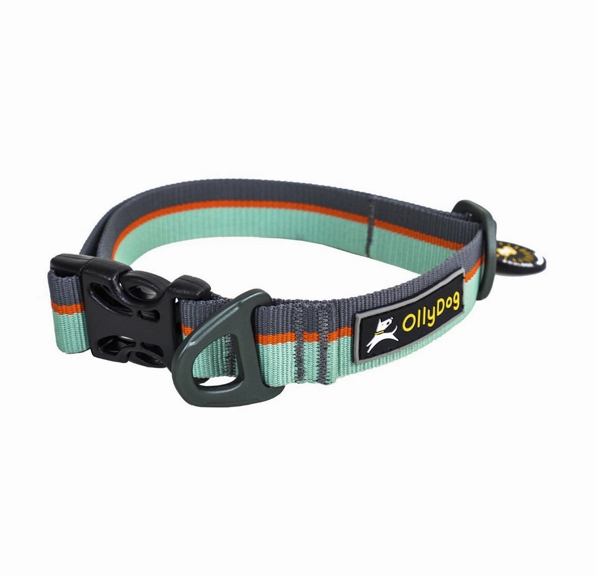 Flagstaff Collar | Adjustable Dog Collar