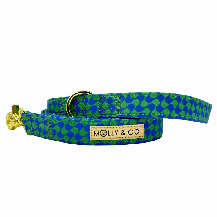 Forest - Dog Leash