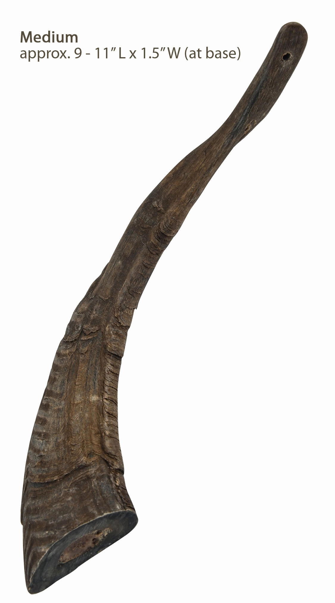 Gobi Goat Horn Natural Dog Chew