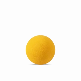 Happy Camper Ball | Play & Fetch Toy
