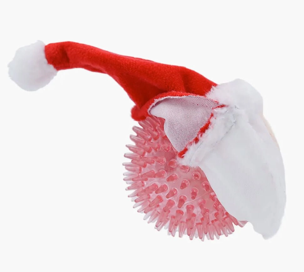 Happy Woofmas 2-in-1 Super Ball Dog Toy