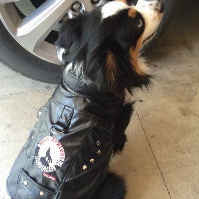 Harness Vest Biker