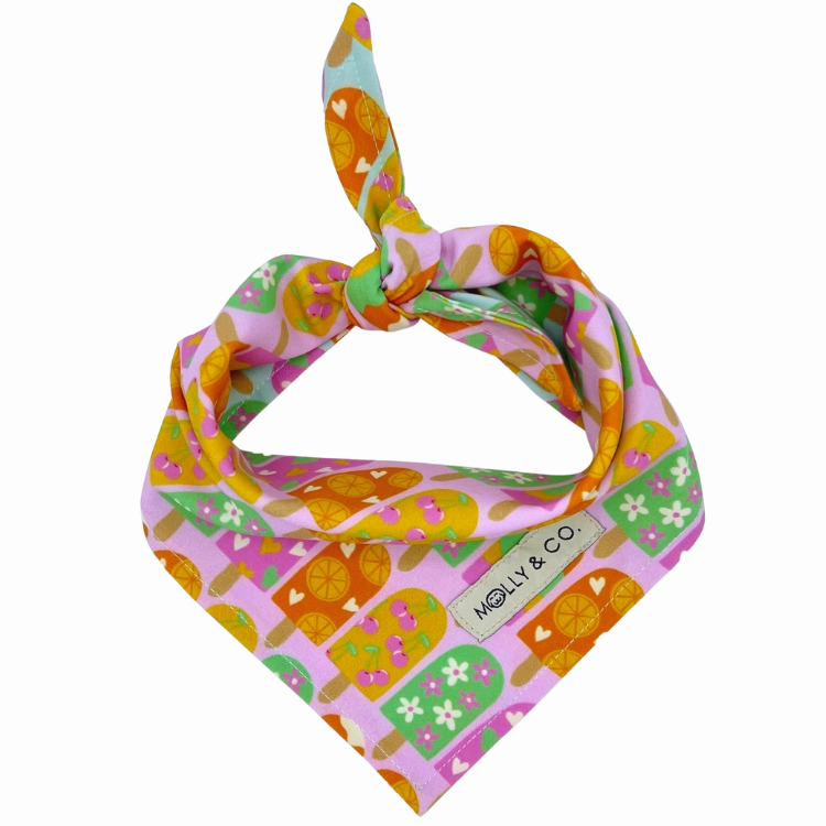Ice Pop - Reversible Dog Bandana