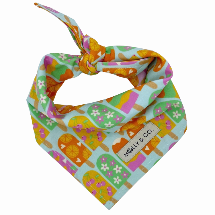 Ice Pop - Reversible Dog Bandana