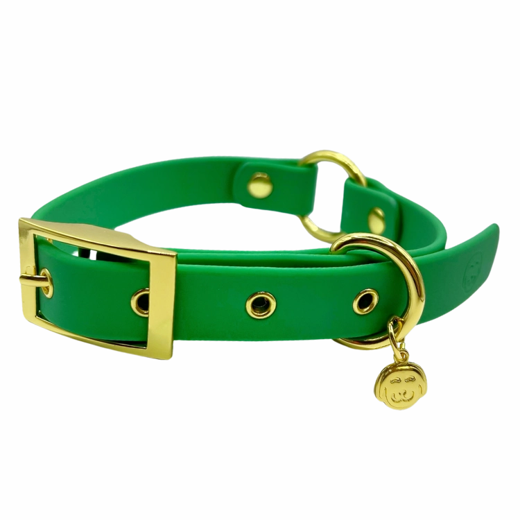 Ivy - Splashproof Dog Collar