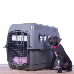 Jeffers Sky Kennel Travel Pet Kennel with Food & Water Bowls Included