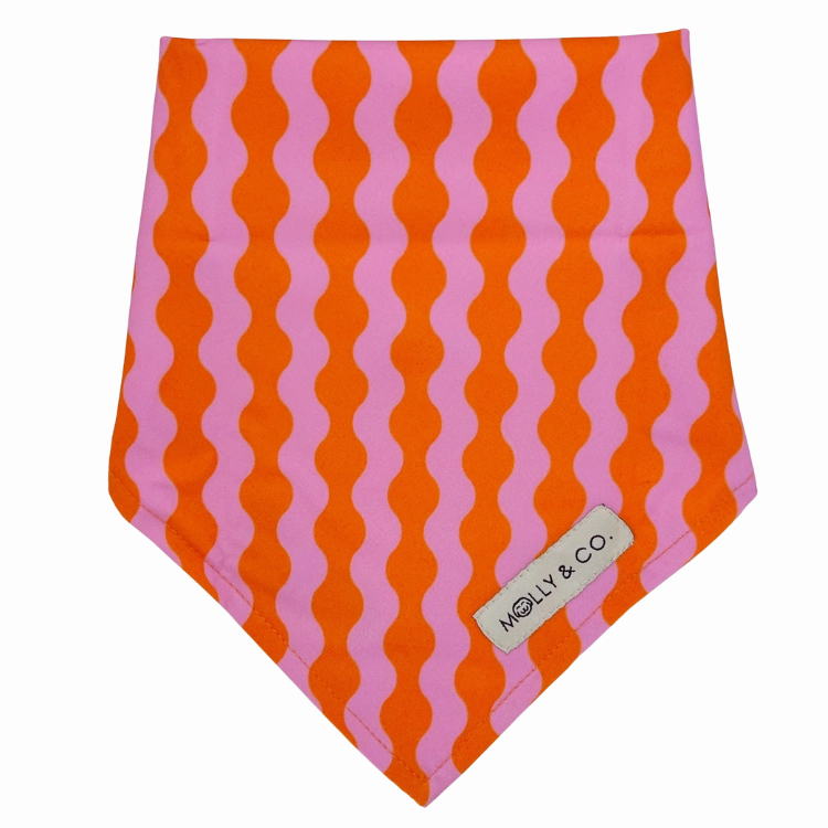 Mango - Reversible Dog Bandana
