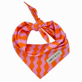 Mango - Reversible Dog Bandana