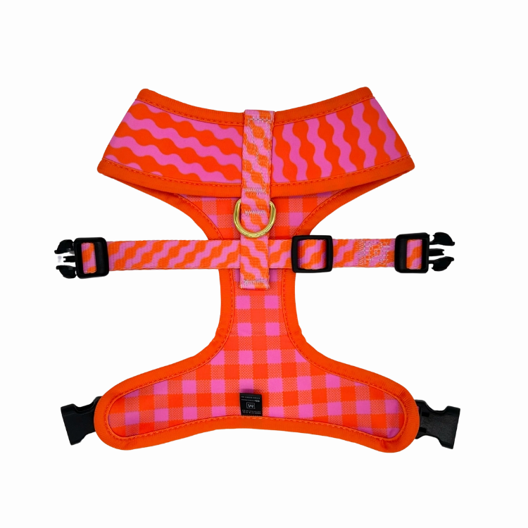 Mango - Reversible Dog Harness