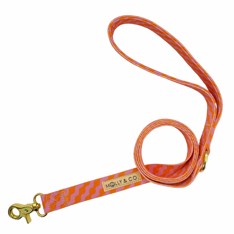 Mango - Walking Bundle