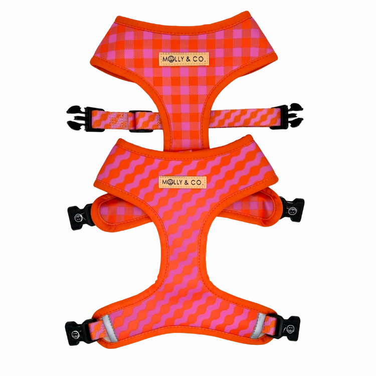 Mango - Walking Bundle