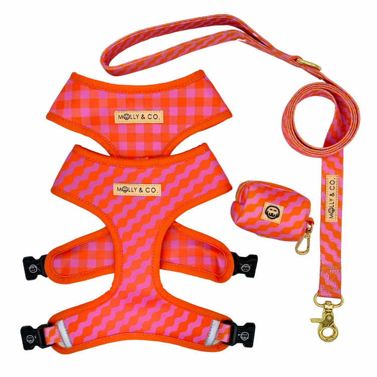Mango - Walking Bundle