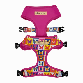 Mariposa - Reversible Dog Harness