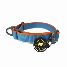 Martingale Mesa Collar | Adventure Dog Collar