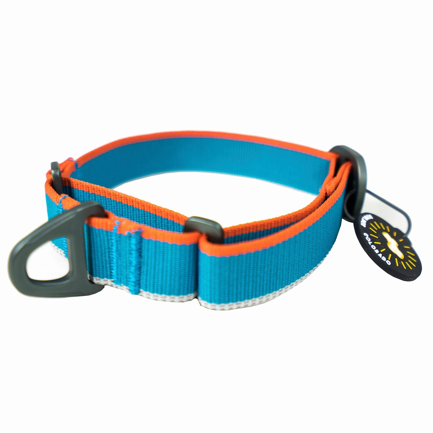 Martingale Mesa Collar | Adventure Dog Collar