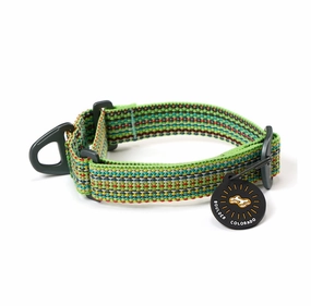 Martingale Rescue Mesa Collar | Anti-Pull Dog Collar