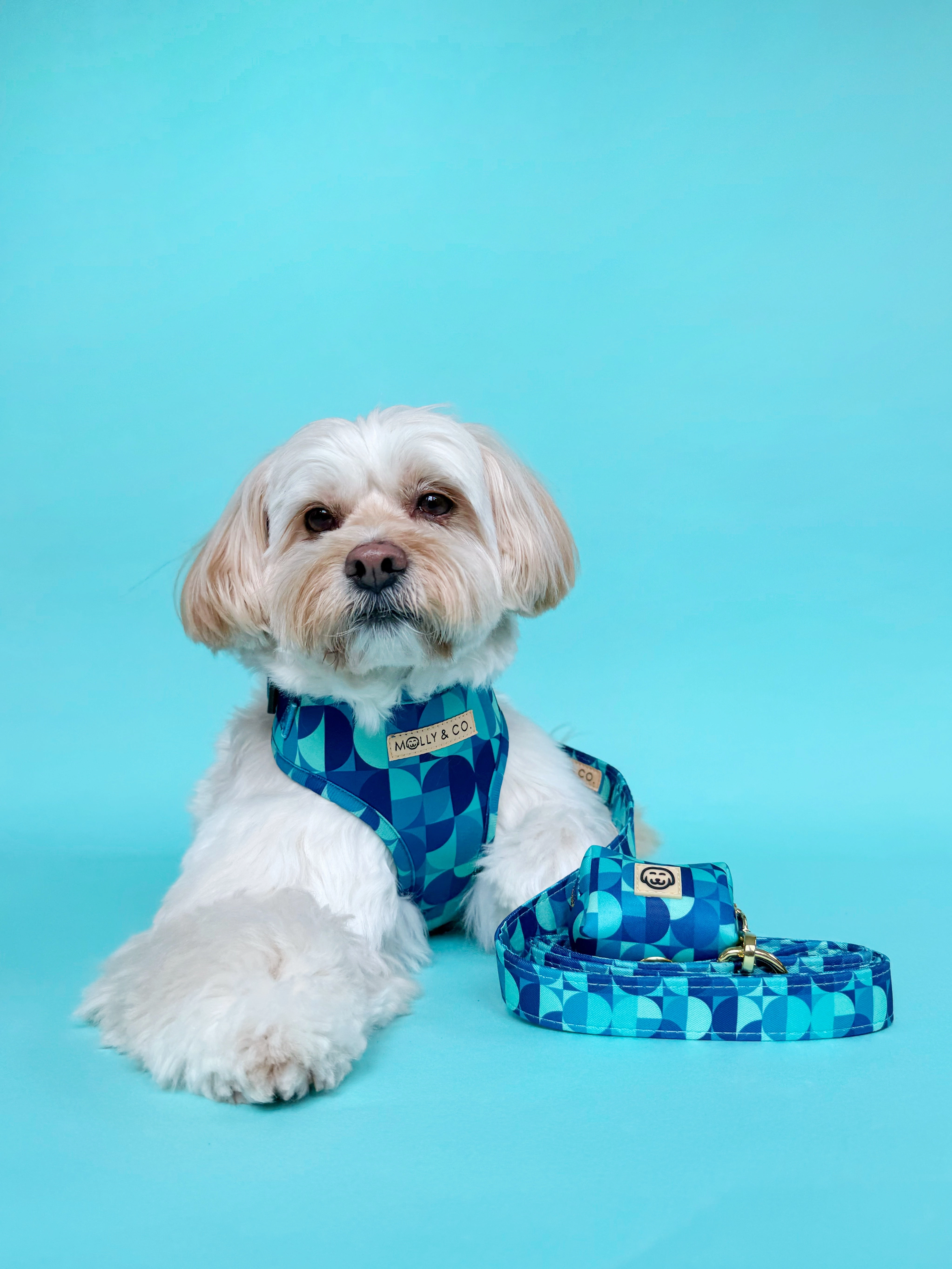 Milos - Adjustable Dog Harness