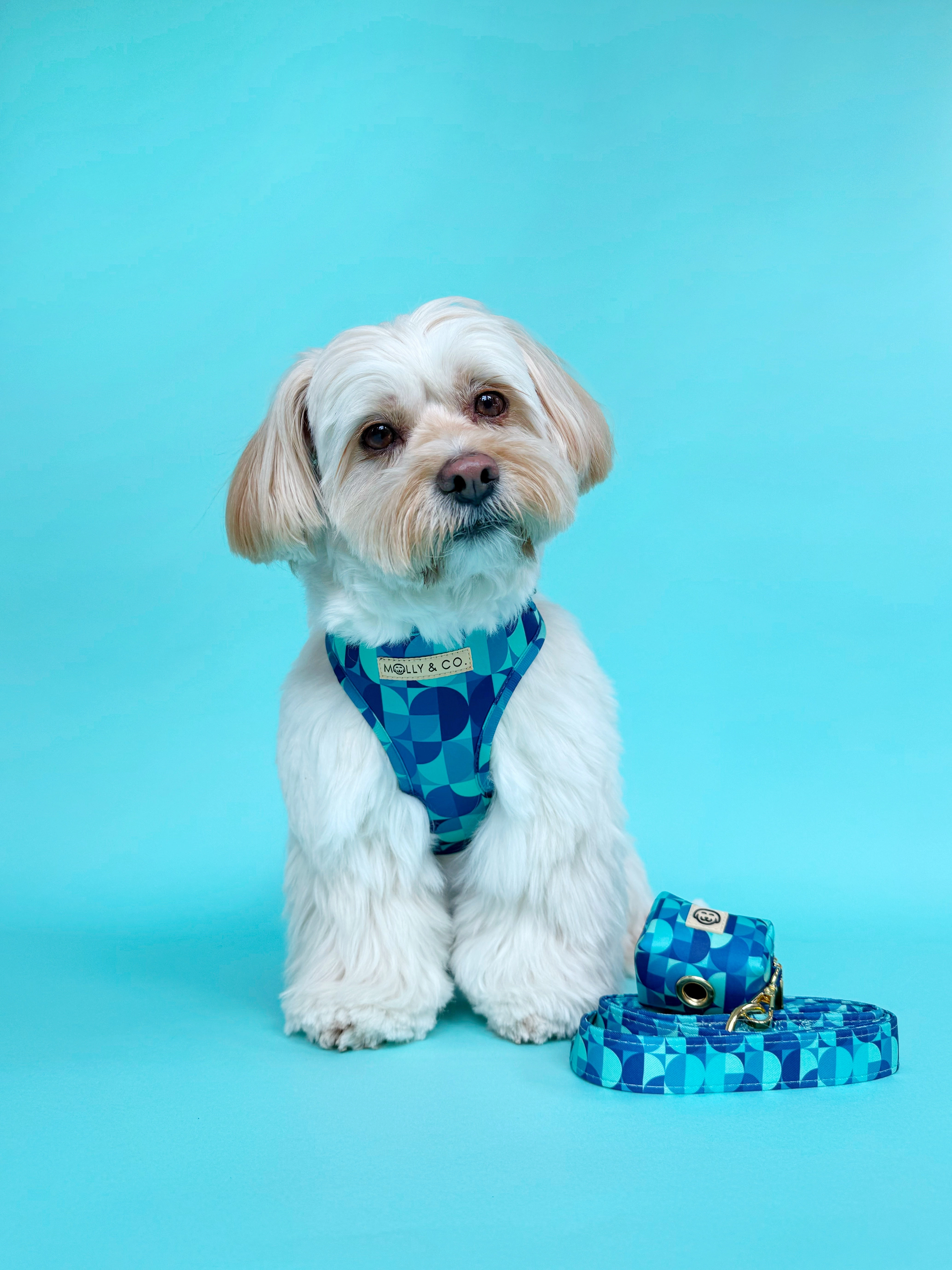 Milos - Adjustable Dog Harness