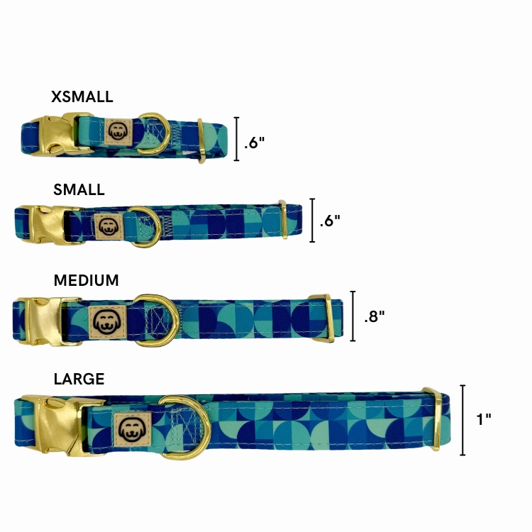 Milos - Dog Collar