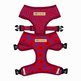 Mon Ch??ri - Reversible Dog Harness