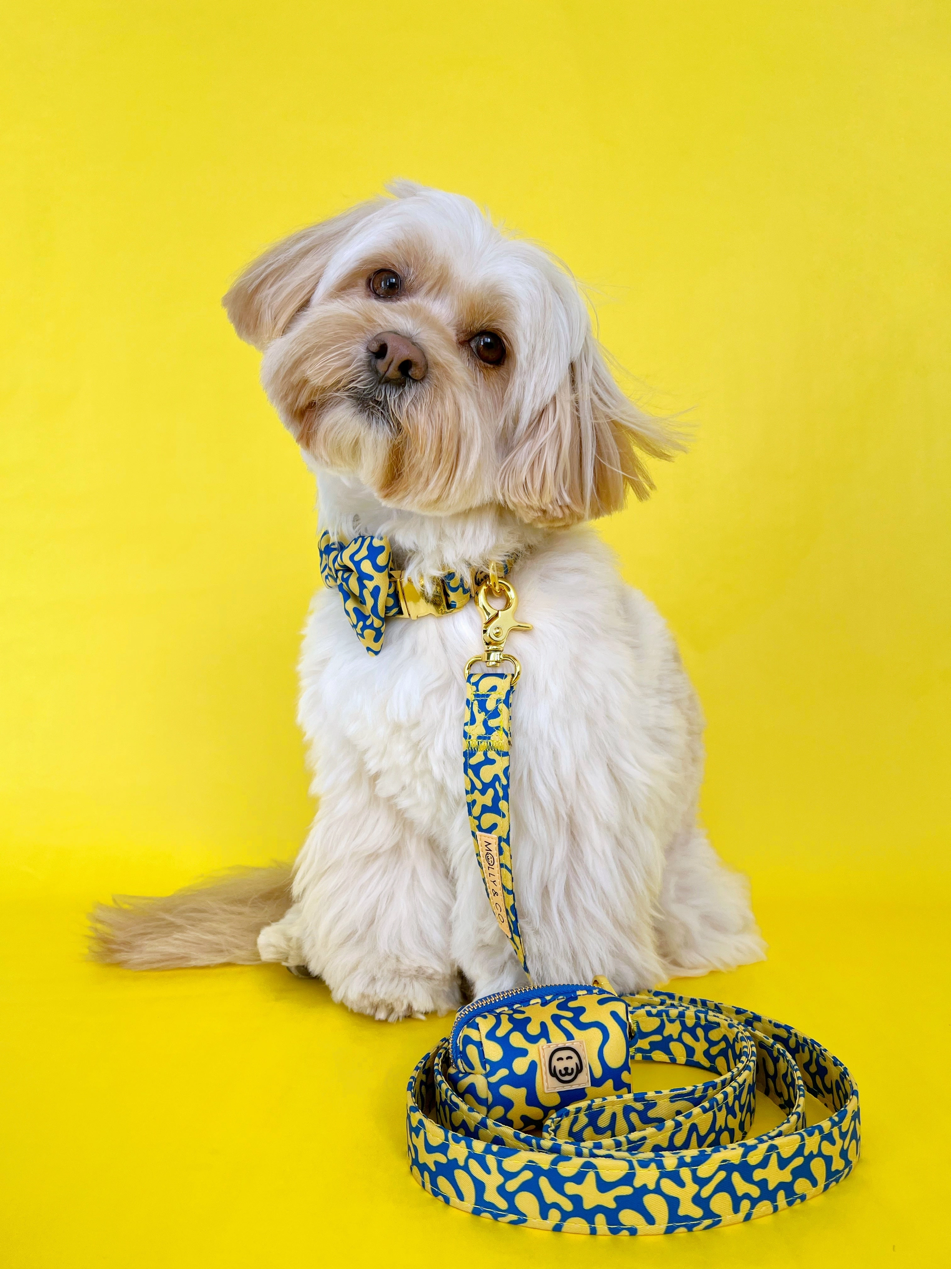 Neptune - Dog Collar