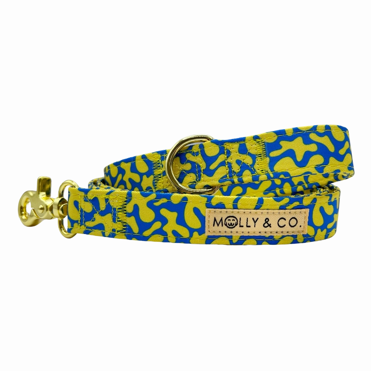 Neptune - Dog Leash