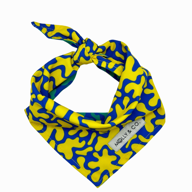 Neptune - Reversible Dog Bandana