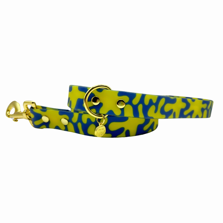 Neptune - Splashproof Dog Leash