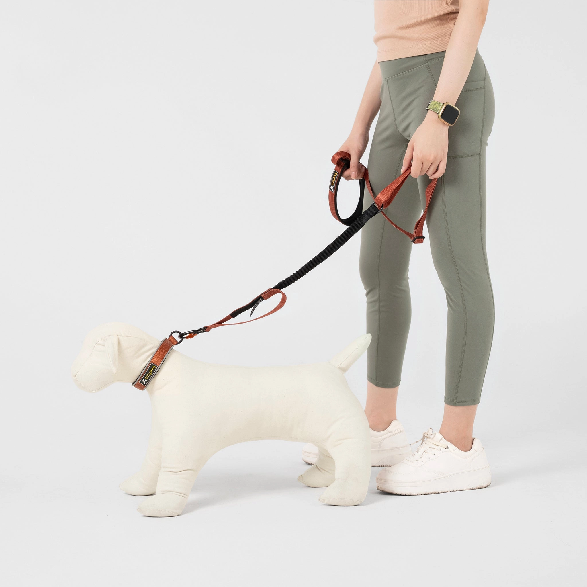 NEW Flagstaff Adjustable Spring Leash | Adjustable Bungee Leash