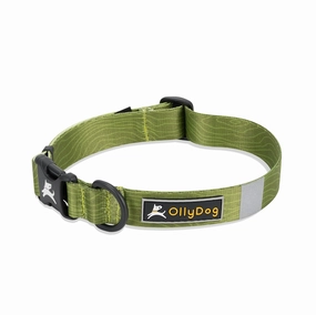 NEW Flagstaff Collar | Adjustable Dog Collar